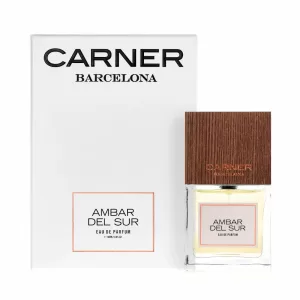 HISTORY AMBAR DEL SUR