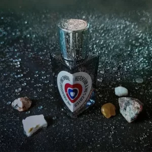 HERMANN A MES COTES ME PARAISSAIT UNE OMBRE