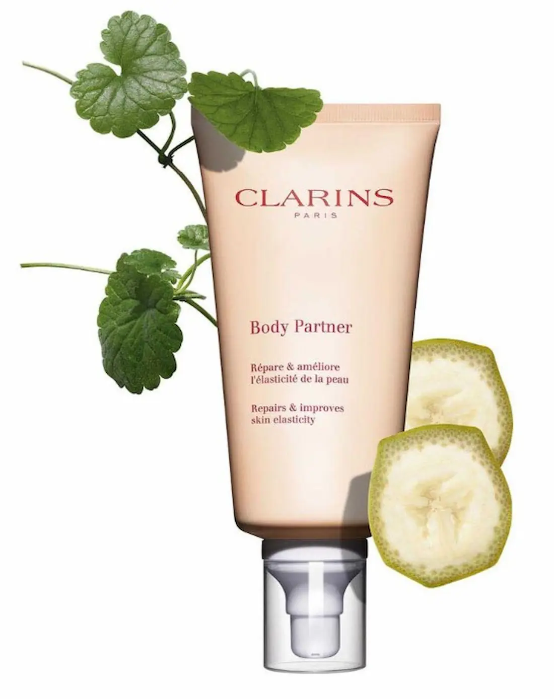 BODY PARTNER -EXPERT VERGETURES