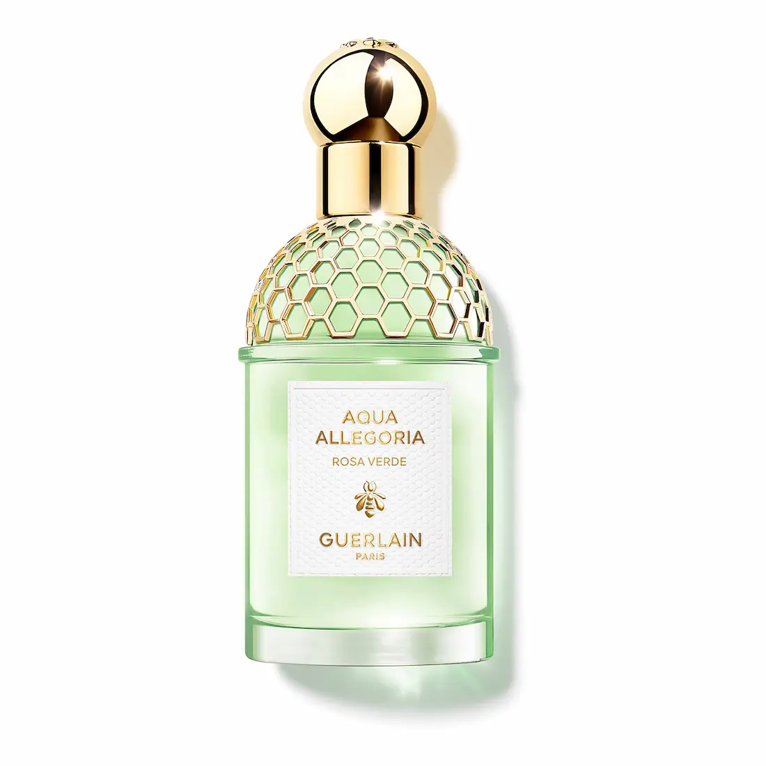 AQUA ALLEGORIA ROSA VERDE 125ML