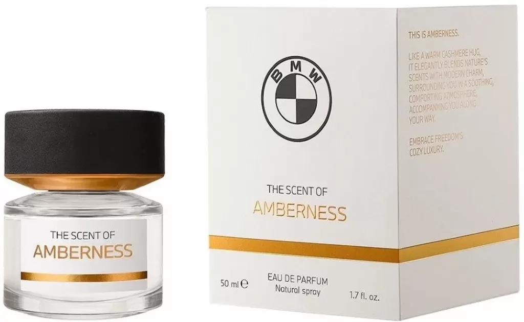 THE SCENT OF AMBERNESS